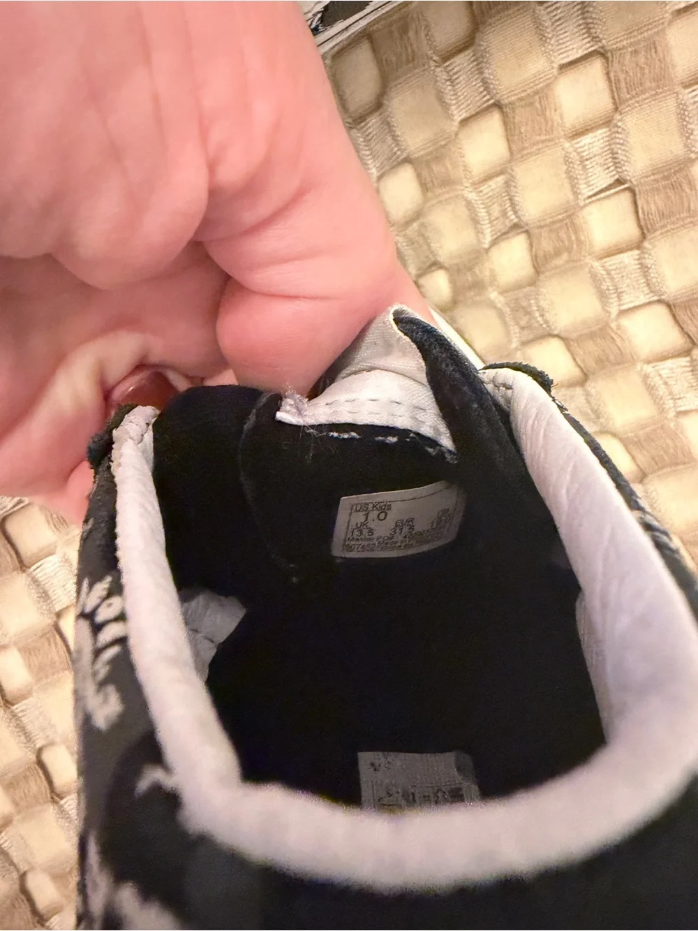 Vans bold dinosaur